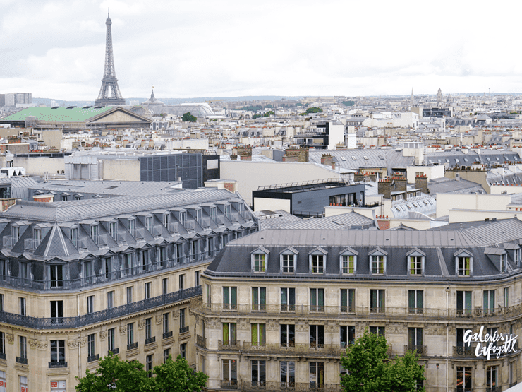 View from Galeries Lafayette rooftop