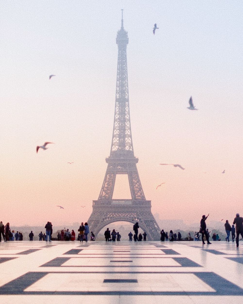 pic of the eiffel tower at sunrise petiteinparis