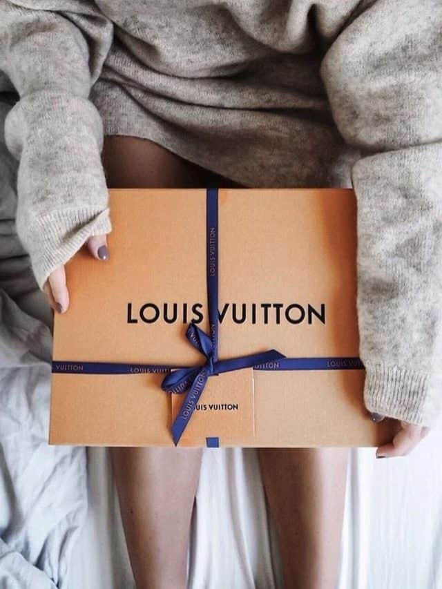 Louis Vuitton Bags Worth Investing in!
