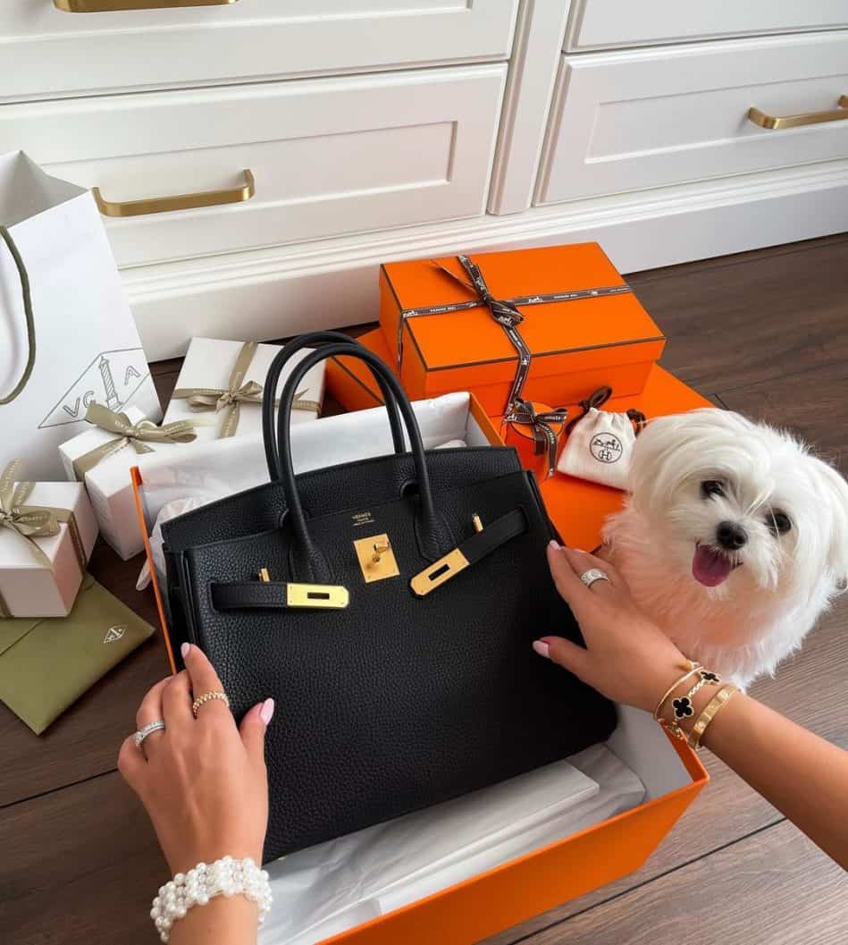 Is the Hermes Birkin Bag Worth it? An Honest Review of the Hermes ...
