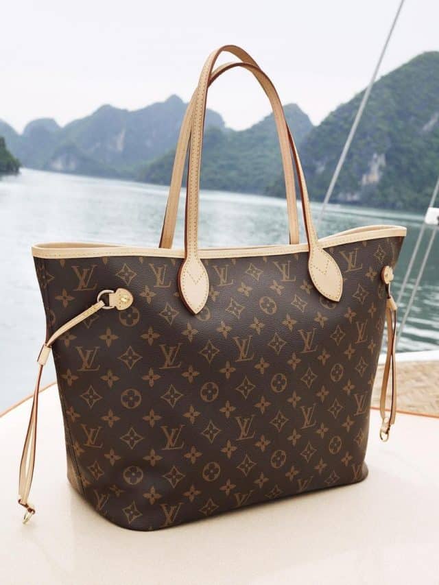 Louis Vuitton Neverfull Size Guide