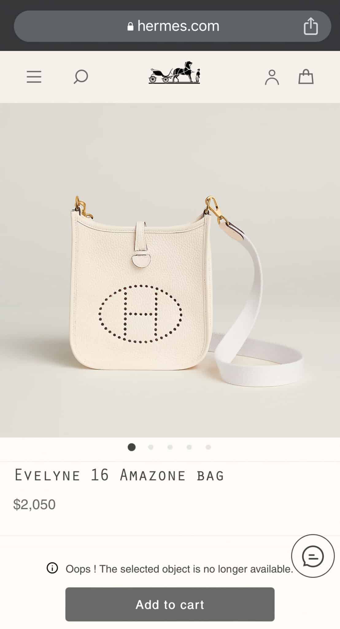 Hermes Evelyne Size Comparison Guide 2023 • Petite in Paris