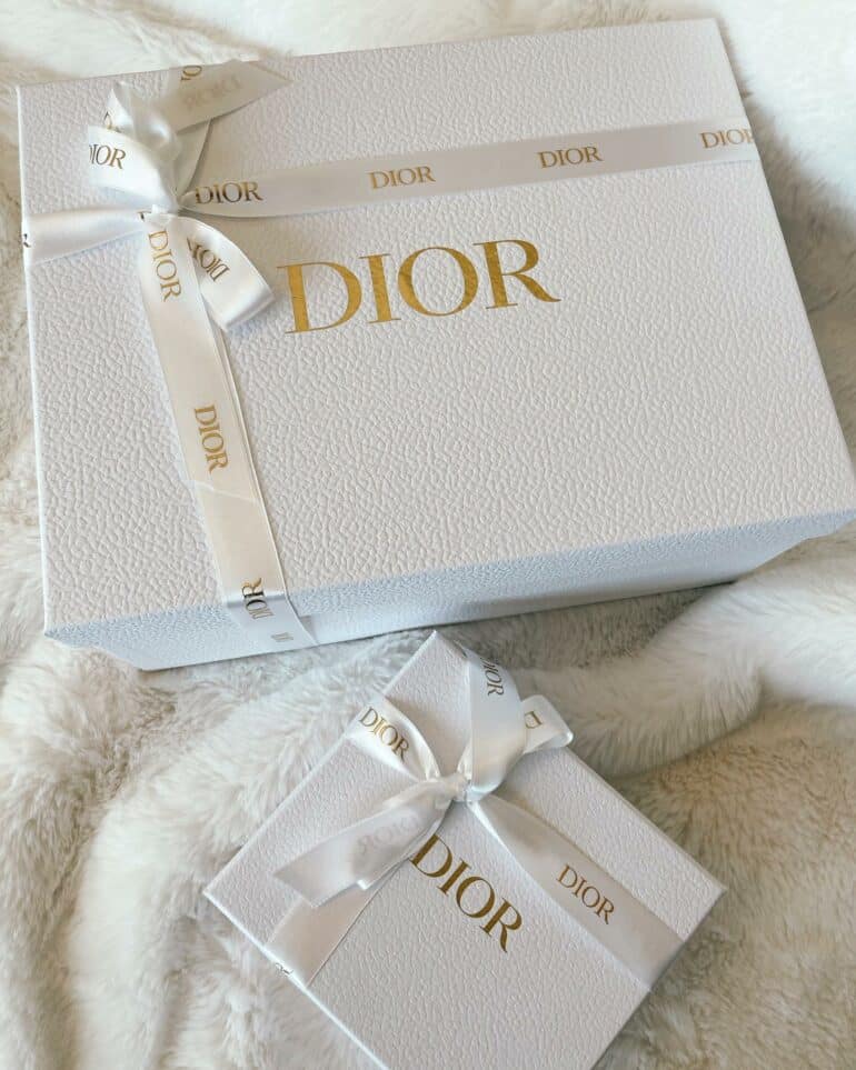 Dior Bags Price Increase Details 2023