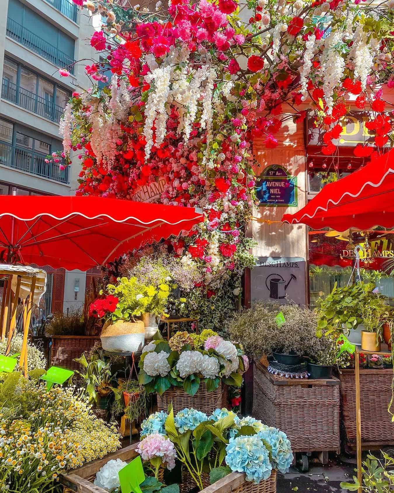Gorgeous florist shops in Paris
