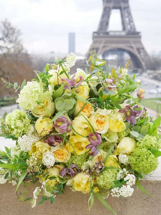 Best Florist Shops in Paris