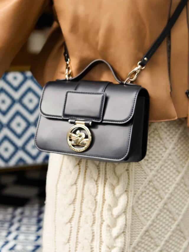 Best Longchamp handbags