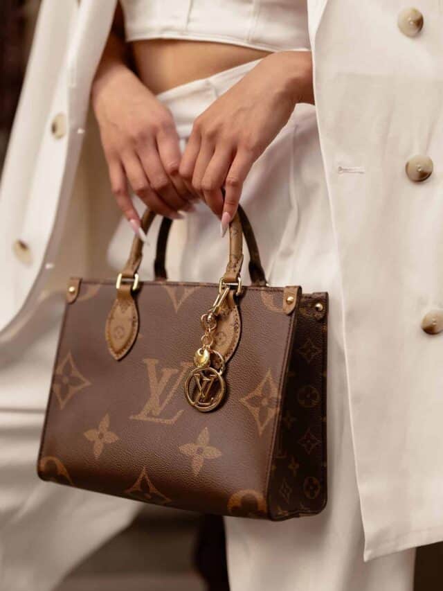 Why LV Bags are Expensive!