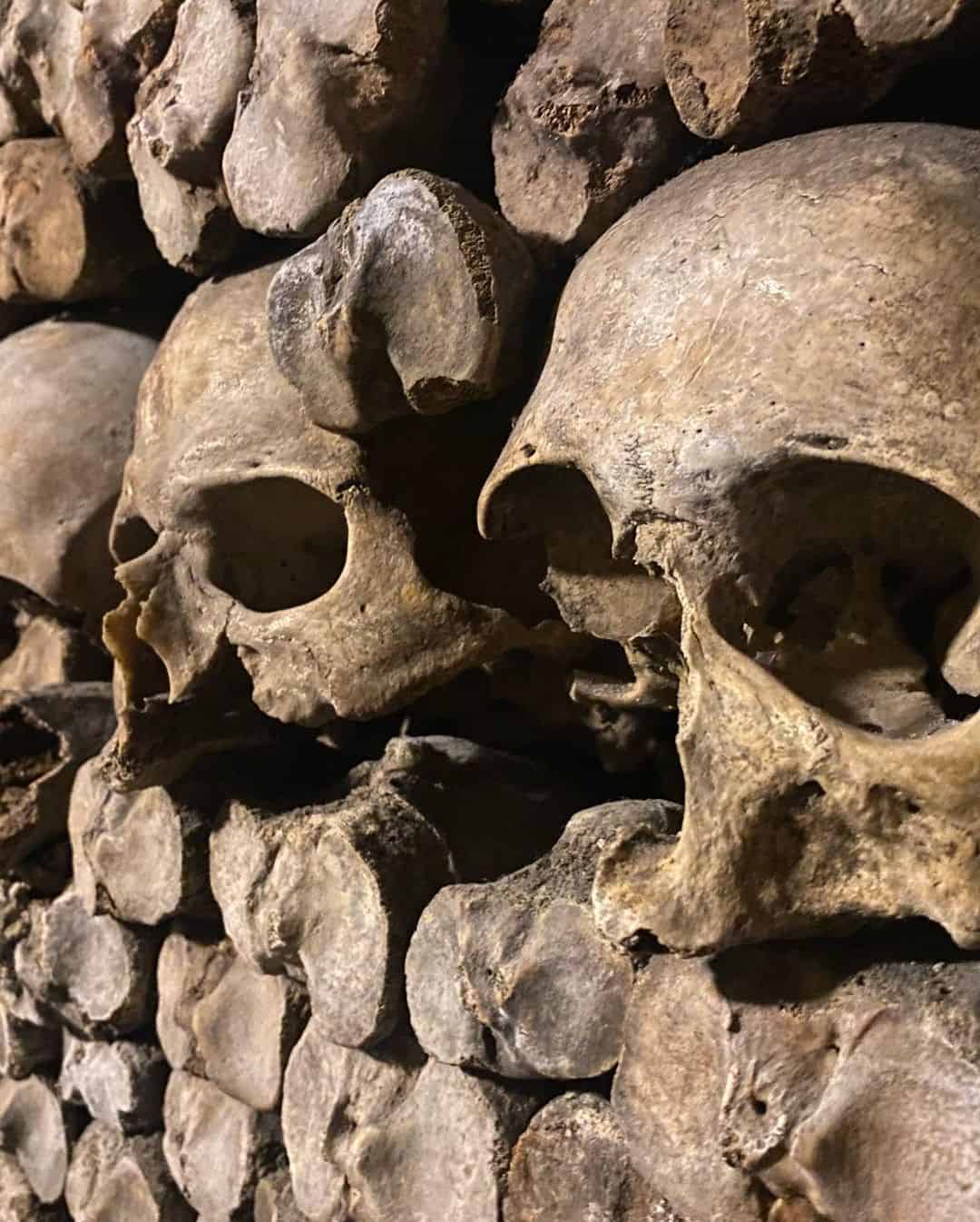 Catacombs of Paris fun facts