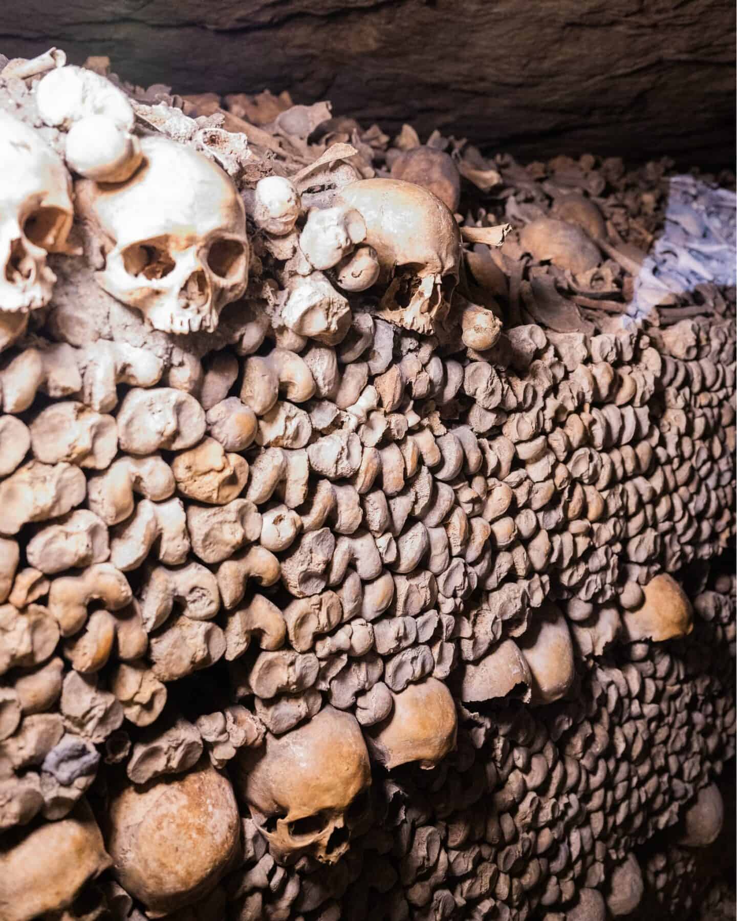 Closeup of the Catacombs of Paris bones
