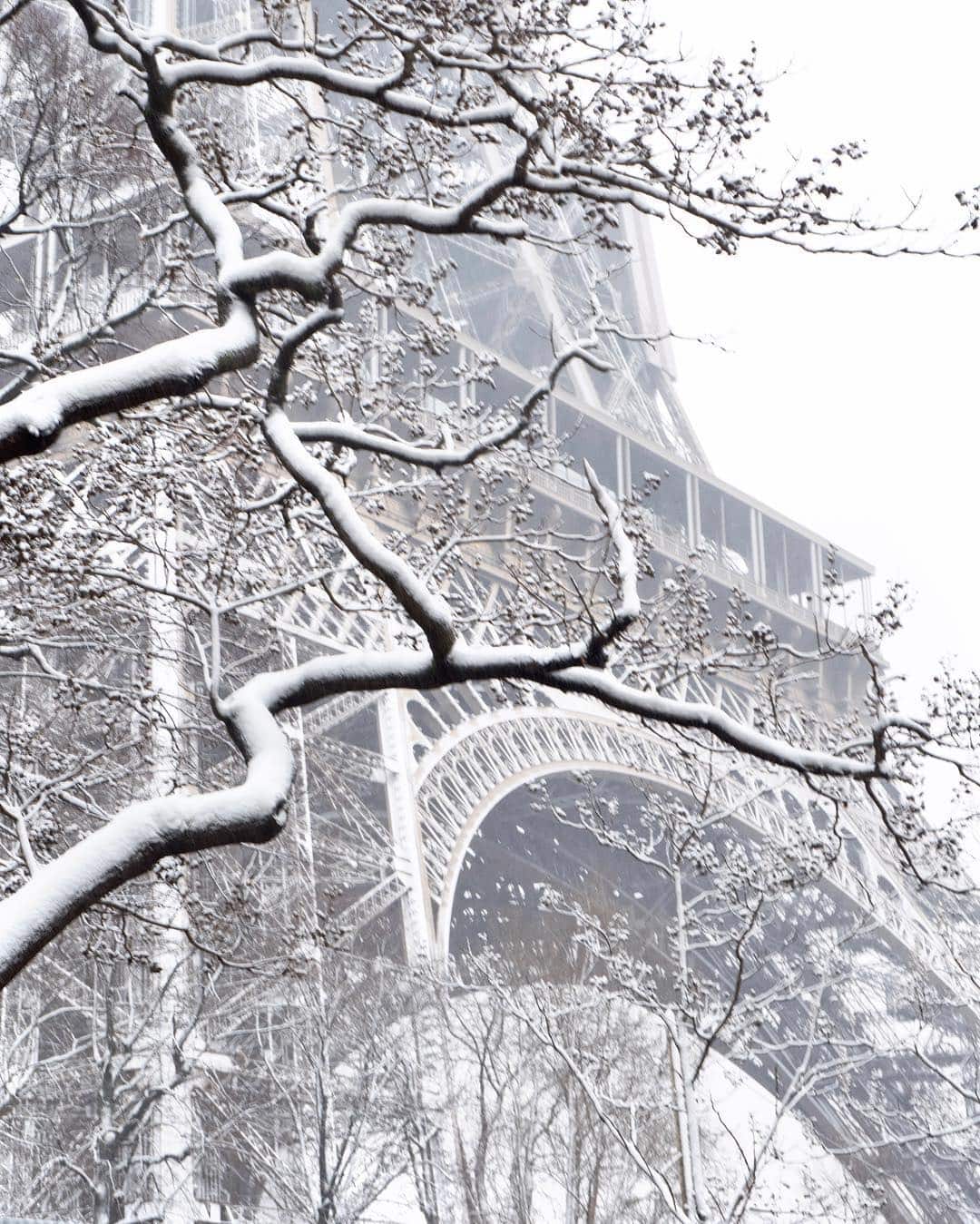 Closeup of the Eiffel Tower covered in snow